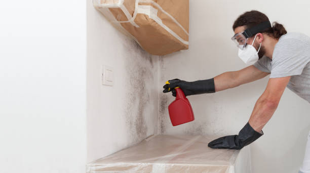 Professional Bathroom Mold Removal technician working in Round Rock, TX