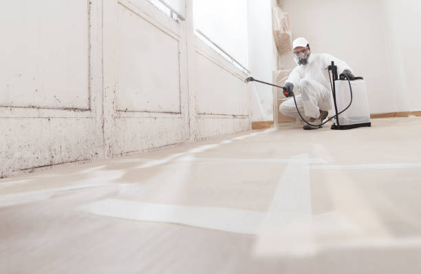 24/7 Emergency Bathroom Mold Removal experts in Round Rock, TX