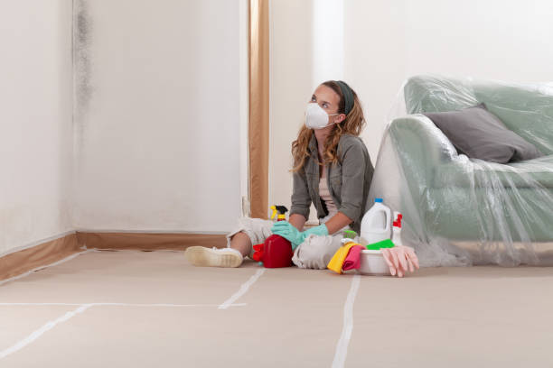 Reliable Bathroom Mold Removal contractor in Round Rock, TX by Mold Remediation HQ